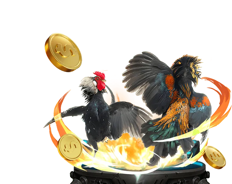 Tầm nhìn tương lai của mv66