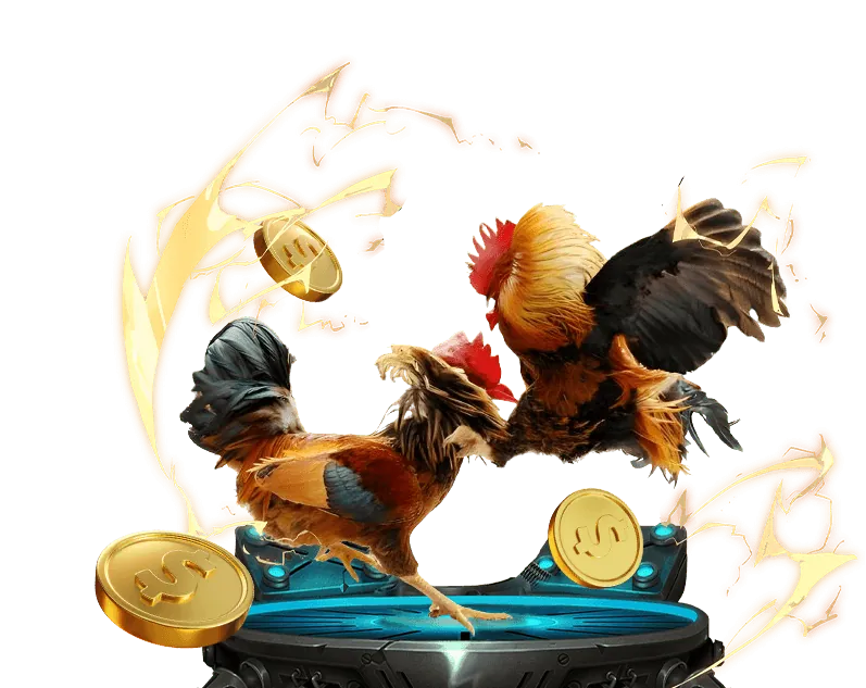 Cá cược trực tiếp mv66